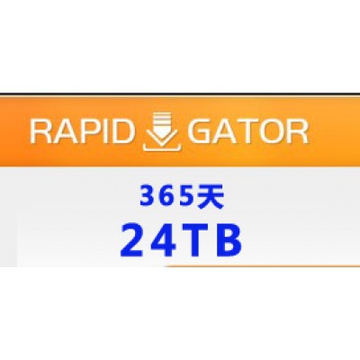 Rapidgator 高级会员365天 24TB